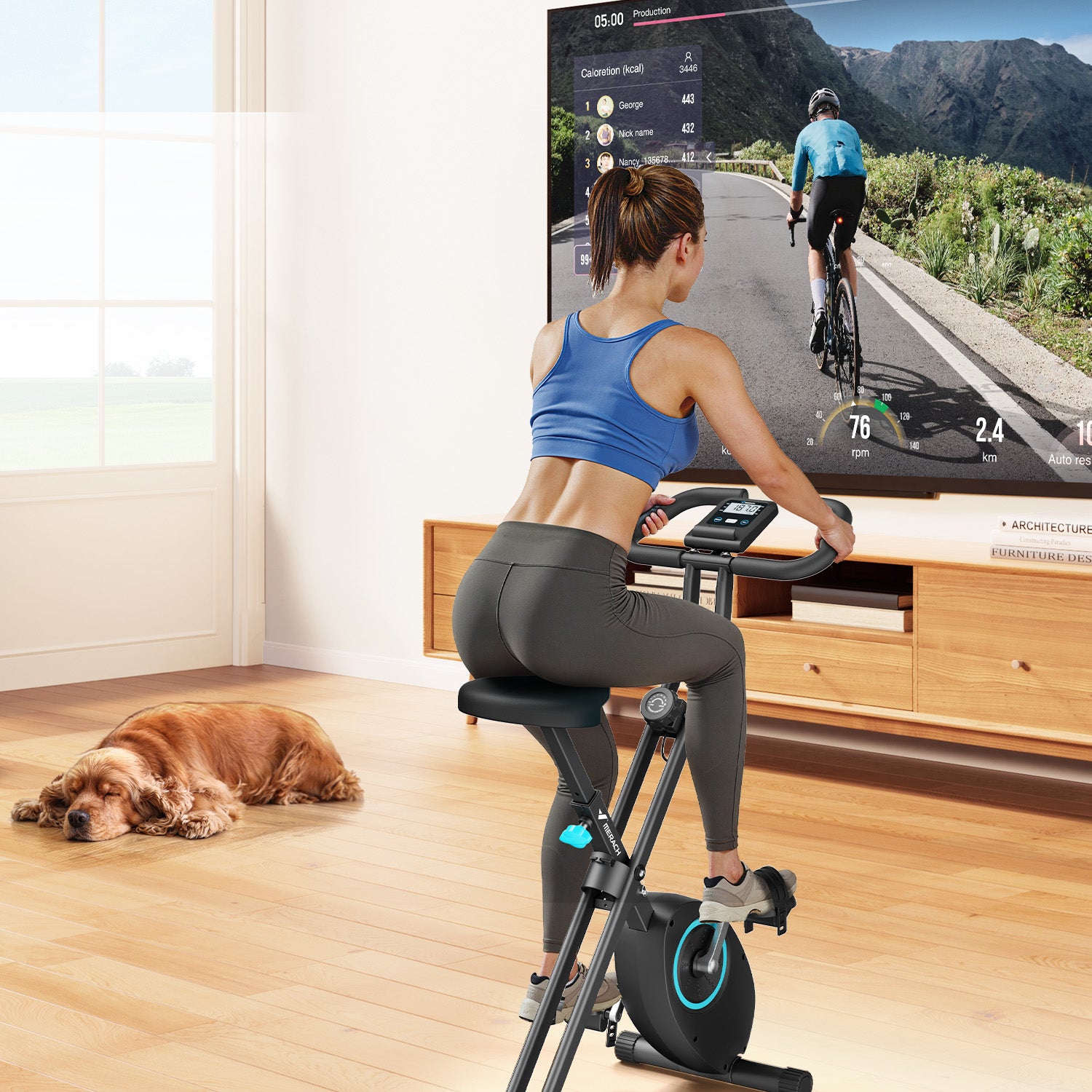 Merach S14 Vélo d'appartement